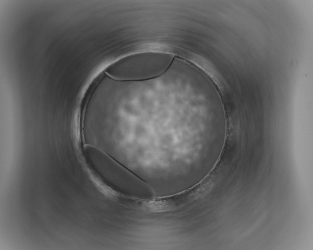 X0000110761128200906291023