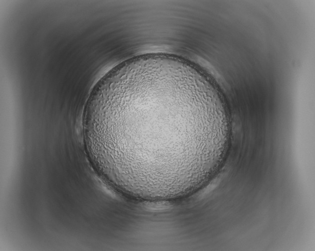 X0000110761129200906291023