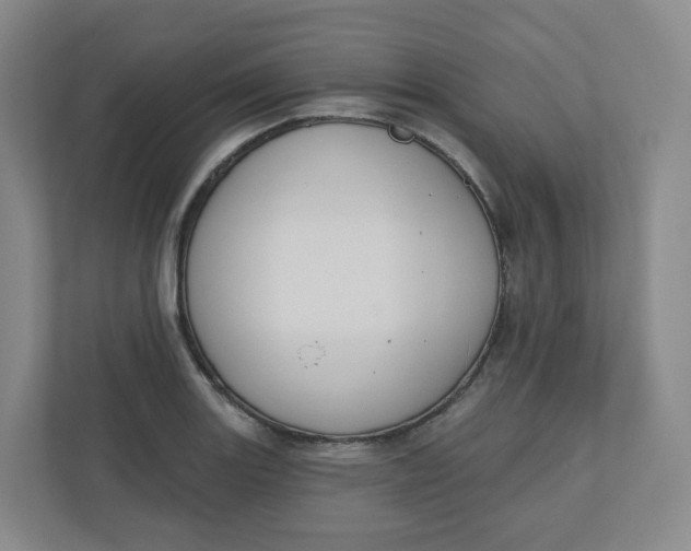 X0000110761131200906291023