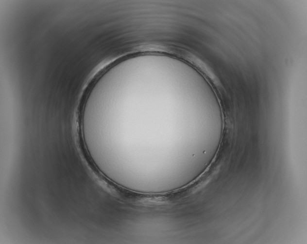 X0000110761133200906291023