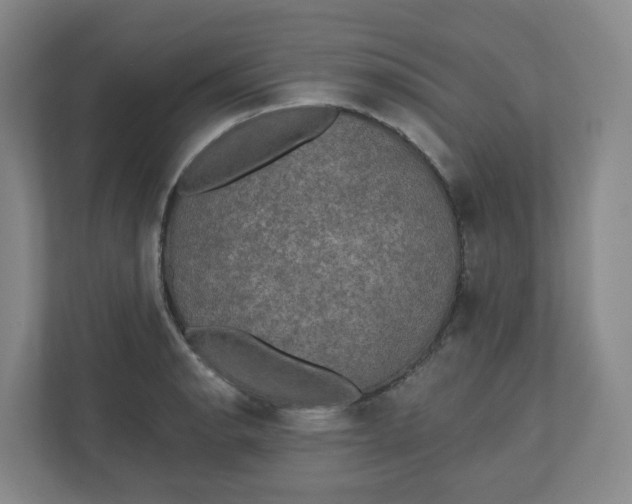 X0000110761134200906291023