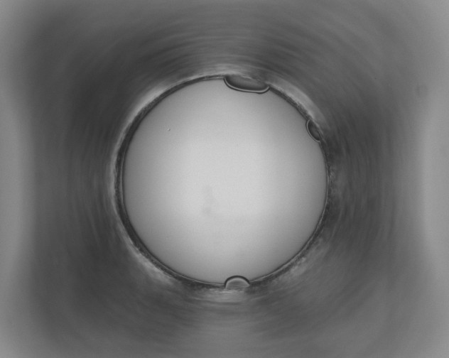 X0000110761135200906291023