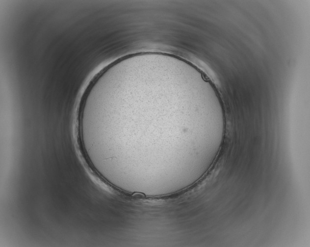 X0000110761136200906291023