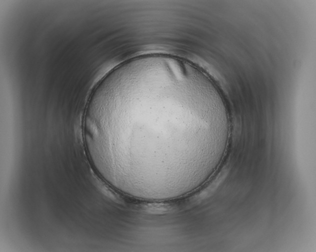 X0000110761137200906291023