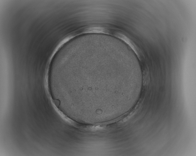 X0000110761139200906291023