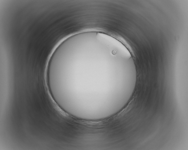 X0000110761140200906291023