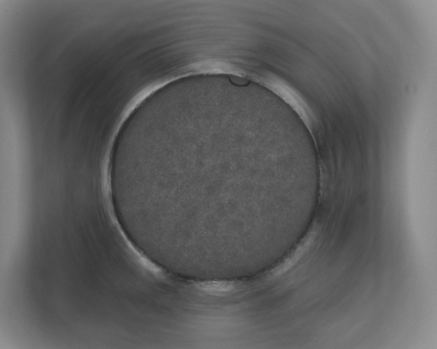 X0000110761141200906291023