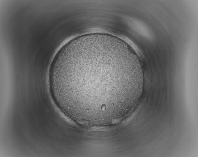 X0000110761142200906291023