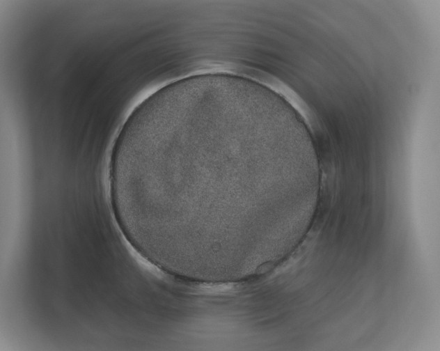 X0000110761143200906291023