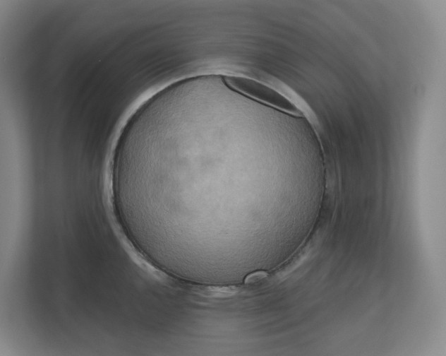 X0000110761144200906291023