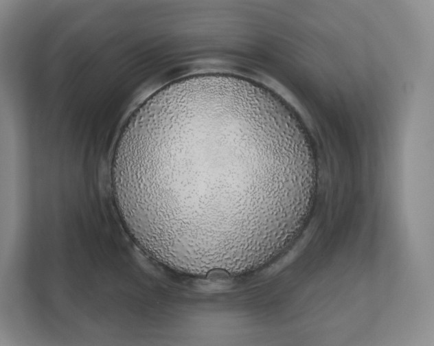 X0000110761145200906291023