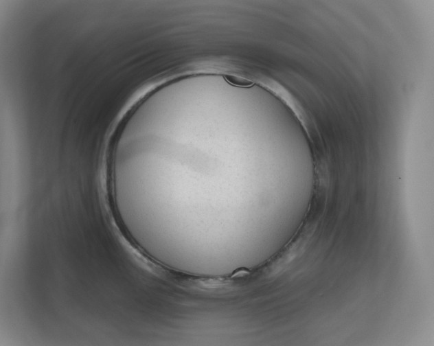 X0000110761147200906291023