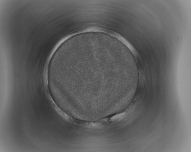X0000110761148200906291023