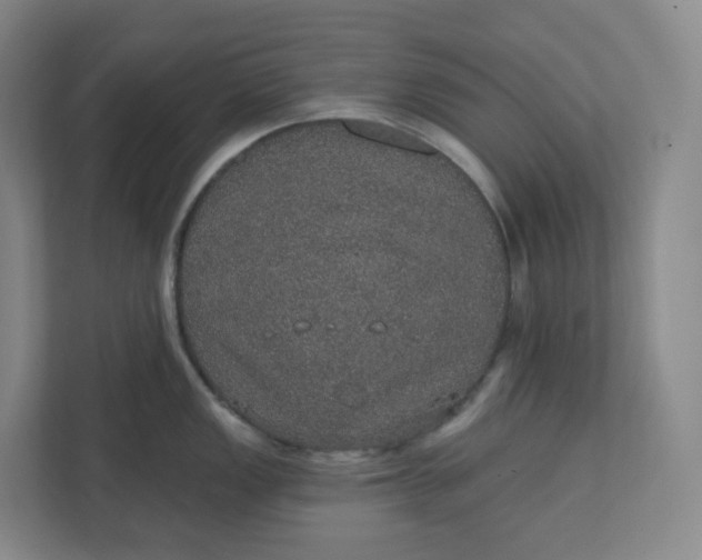 X0000110761149200906291023