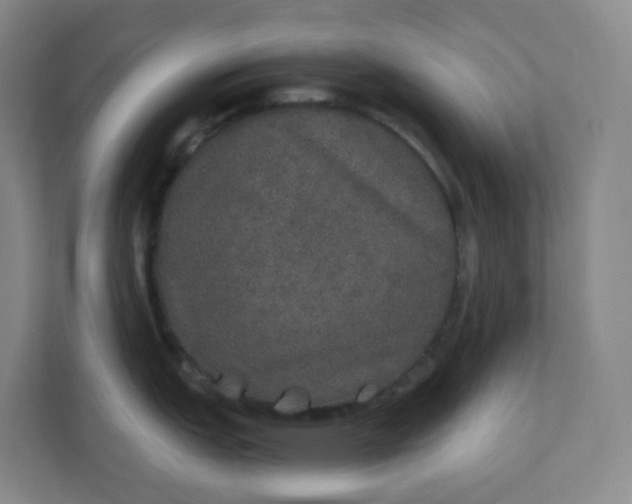 X0000110761151200906291023