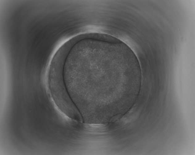 X0000110761152200906291023