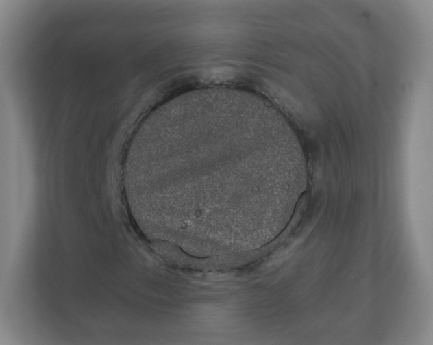 X0000110761153200906291022