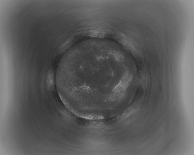X0000110761154200906291022