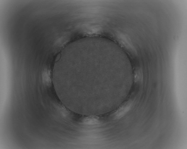 X0000110761156200906291022