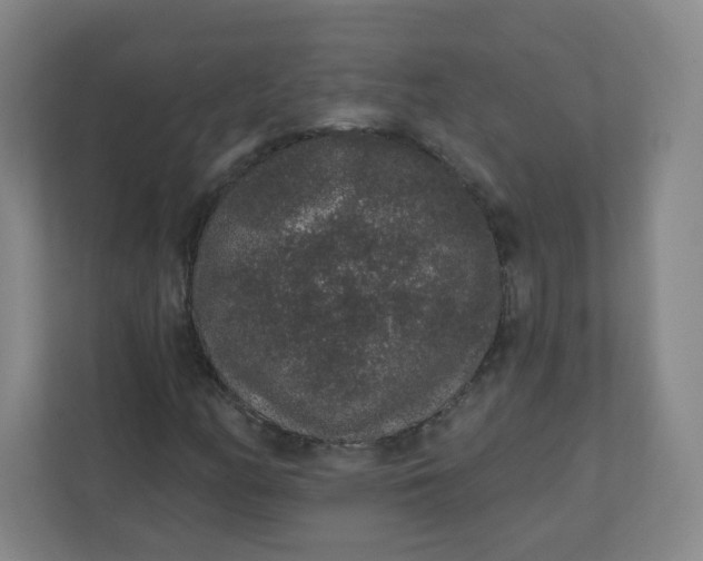 X0000110761158200906291022