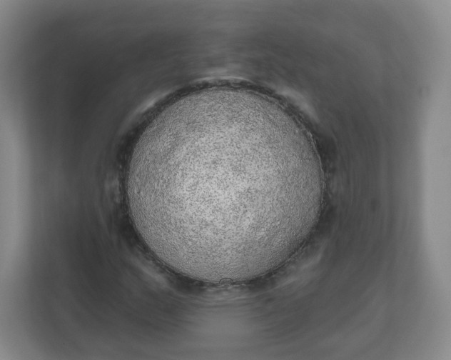 X0000110761159200906291022