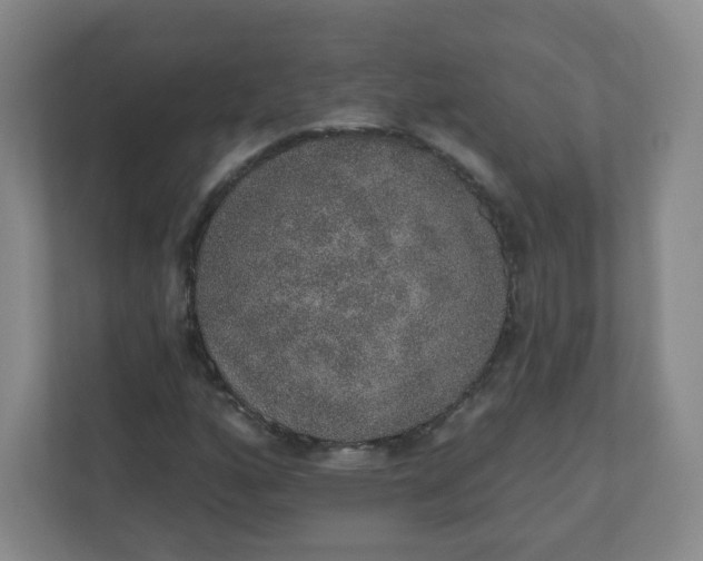 X0000110761160200906291022