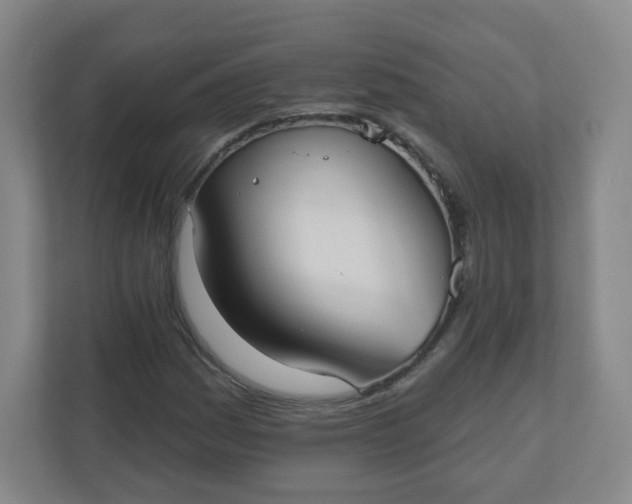 X0000110761161200906291022