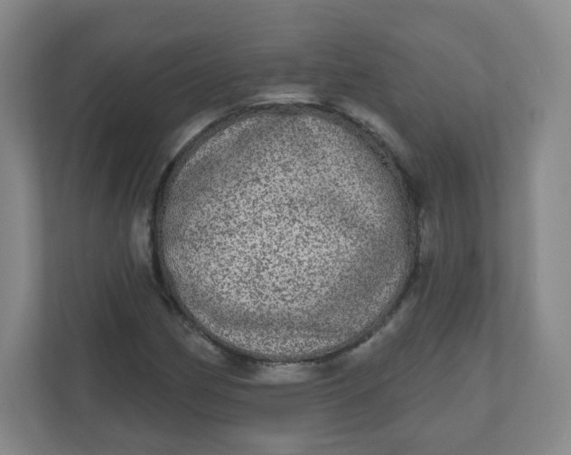 X0000110761162200906291022