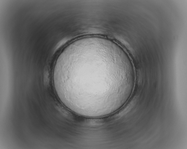 X0000110761163200906291022