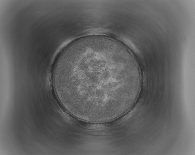 X0000110761164200906291022