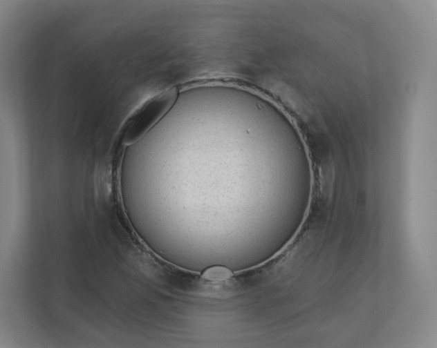 X0000110761165200906291022