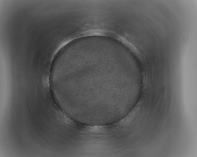 X0000110761166200906291022