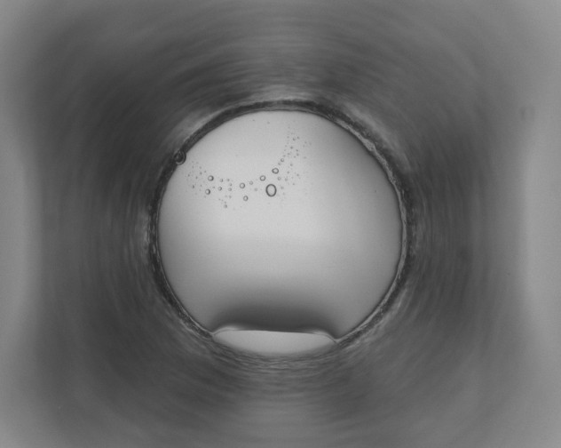 X0000110761169200906291022