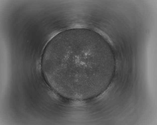X0000110761170200906291022