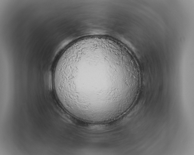 X0000110761171200906291022