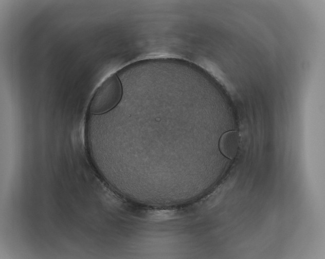 X0000110761173200906291022