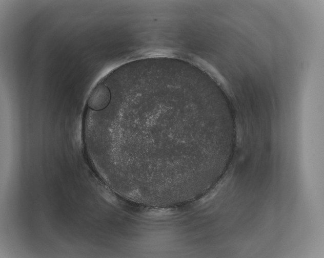 X0000110761174200906291022