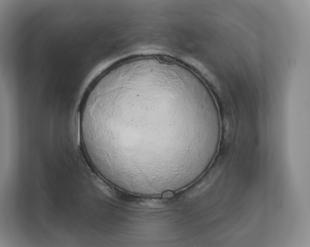 X0000110761175200906291022