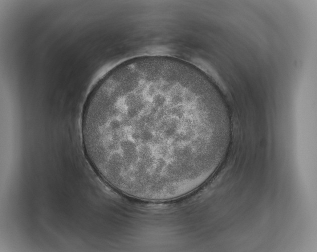 X0000110761176200906291022