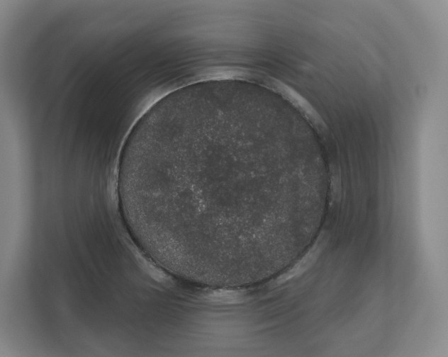 X0000110761178200906291022