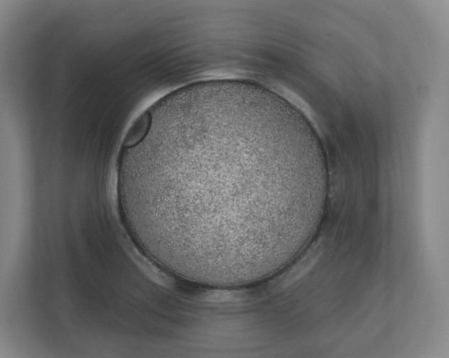 X0000110761179200906291022