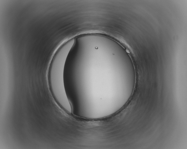 X0000110761181200906291022