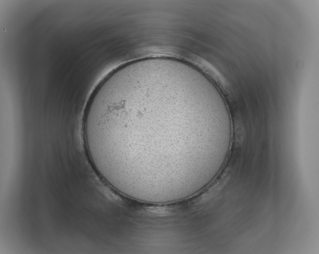 X0000110761182200906291022