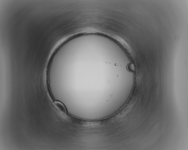 X0000110761183200906291022