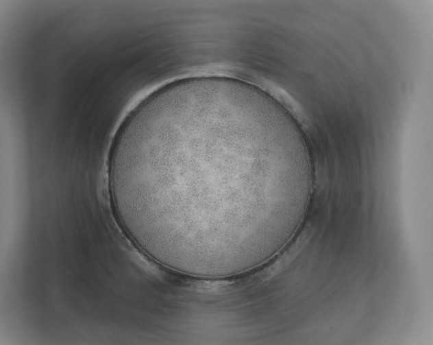 X0000110761184200906291022