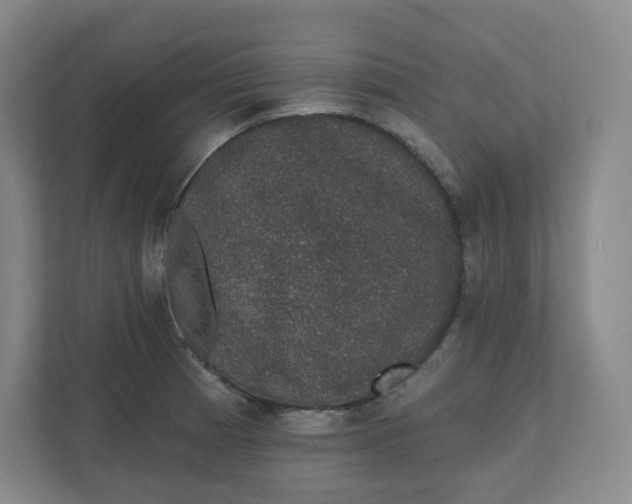X0000110761185200906291022