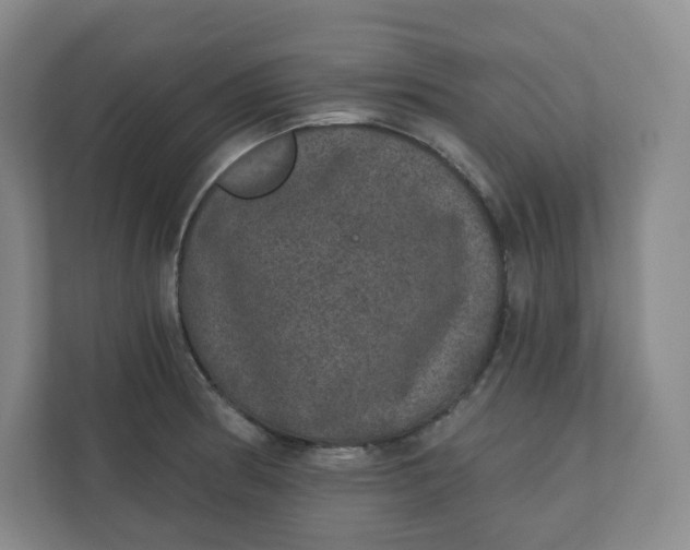 X0000110761186200906291022