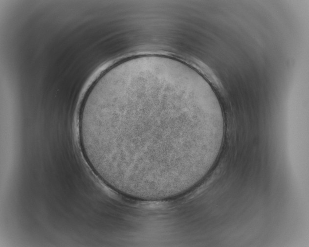 X0000110761188200906291022