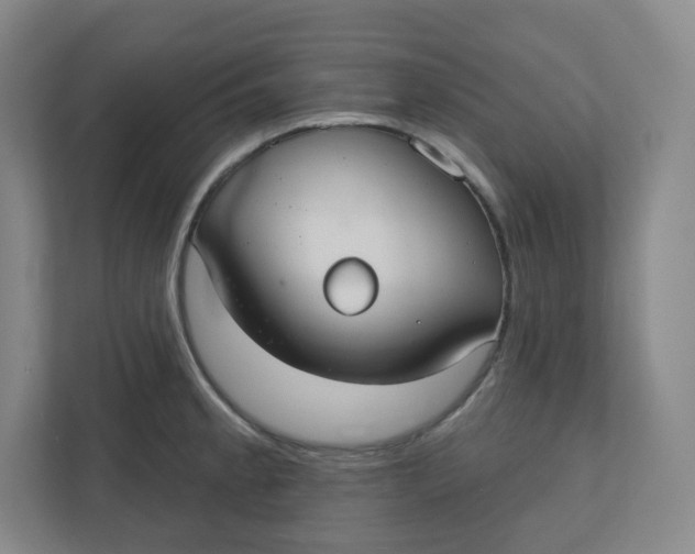X0000110761189200906291022