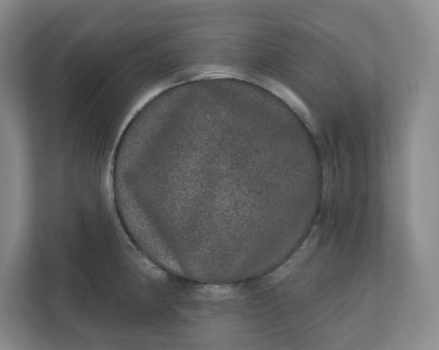 X0000110761190200906291022